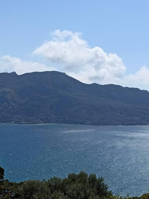 Ventus Villa Afión Екстериор снимка
